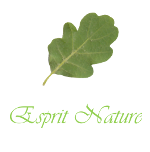 Esprit Nature, Votre artisan fleuriste de Cavaillon